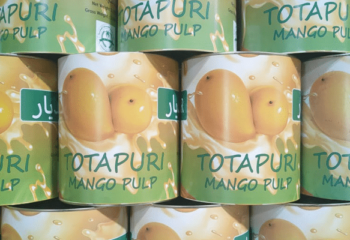 mango-pulp-img4