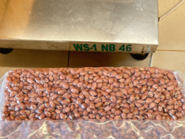 peanut-shipment-img2
